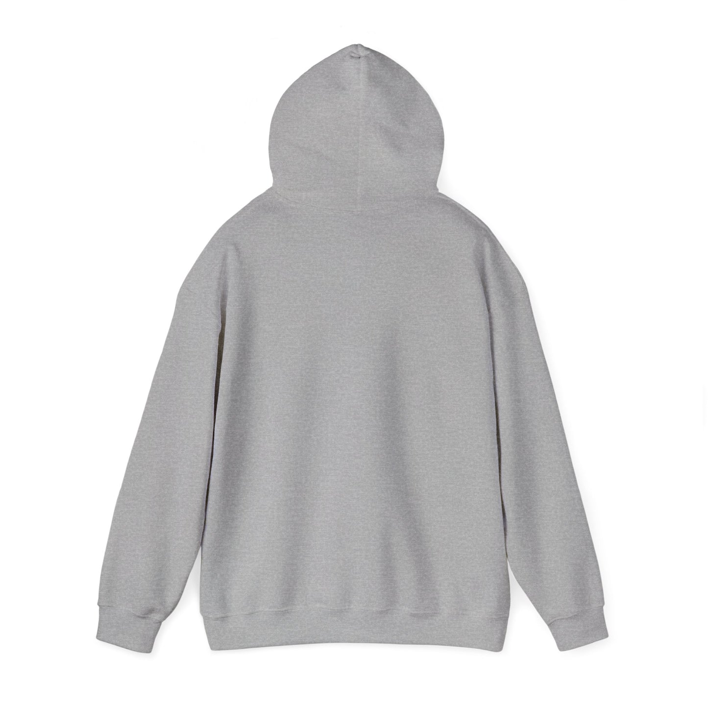 Another 24hrs Sober Unisex Heavy Blend™ Hooded Sweatshirt