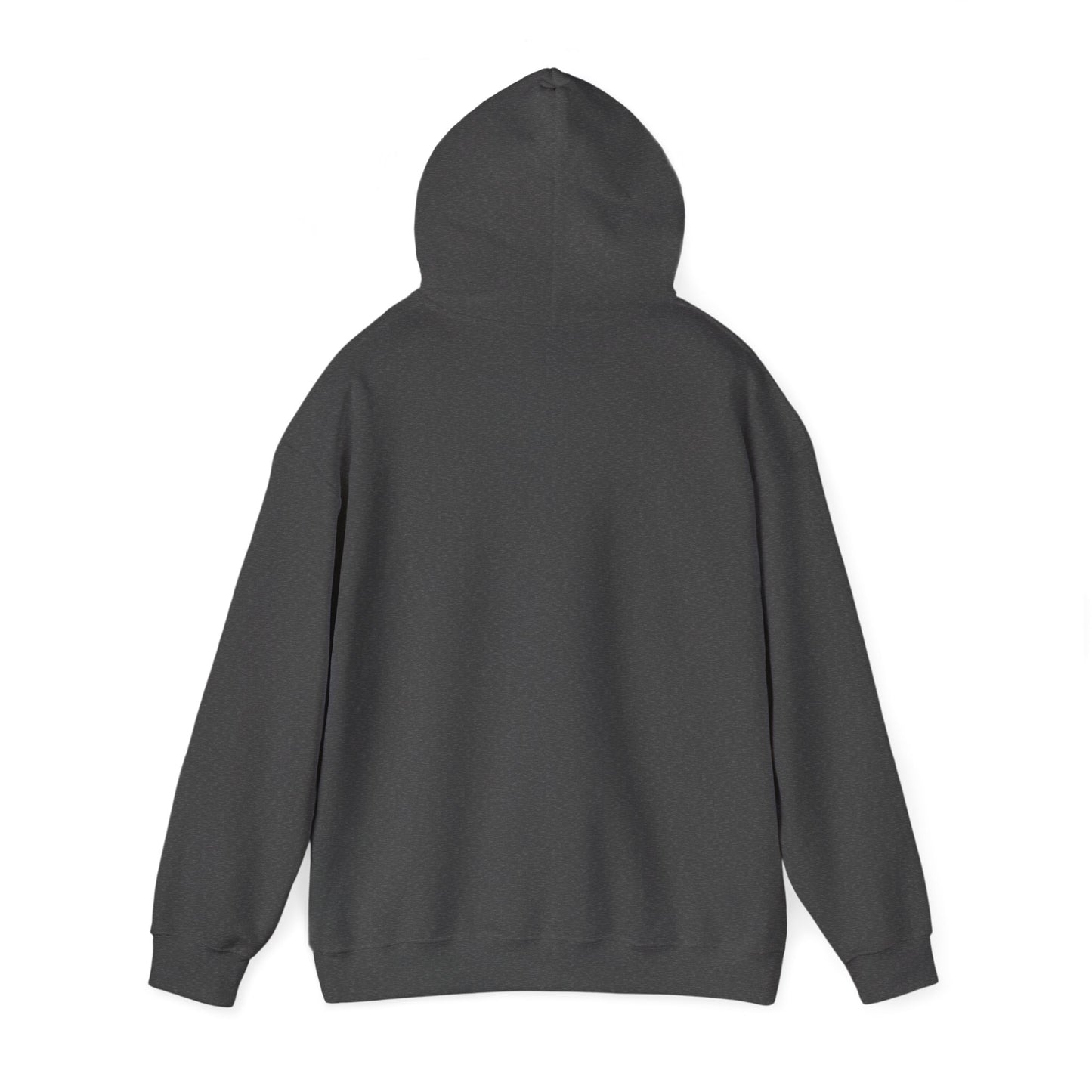 Another 24hrs Sober Unisex Heavy Blend™ Hooded Sweatshirt